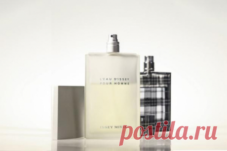 Что необходимо знать, чтобы правильно выбрать мужской парфюм? | CityWomanCafe.com