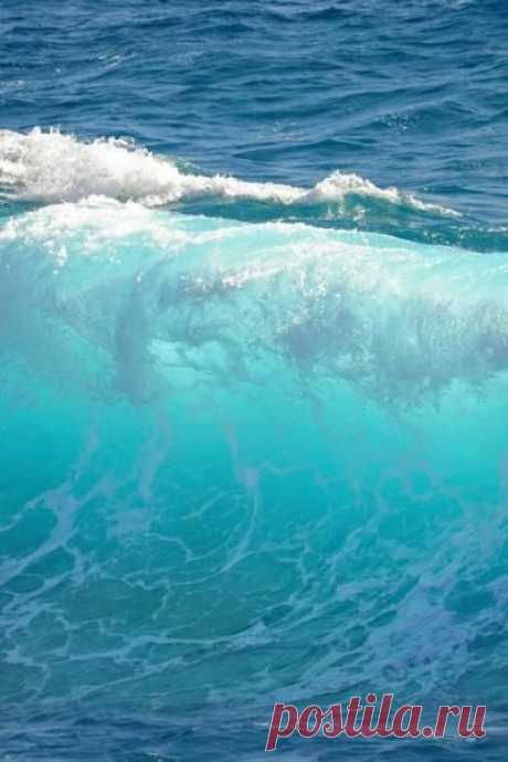 Ocean wave | Water World Wow !