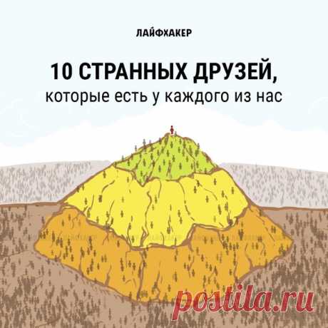 У всех есть удивительные друзья, которые вам вовсе не товарищи. Создатель блога Wait But Why Тим Урбан рассказывает, как эти люди проникли в вашу жизнь и что с ними теперь делать: