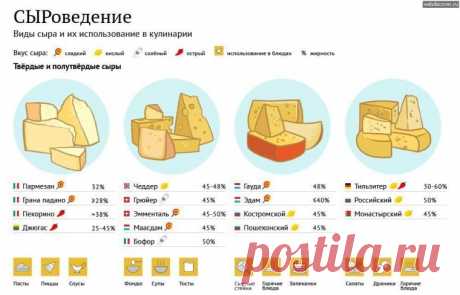 Какие виды сыра как используются в кулинарии