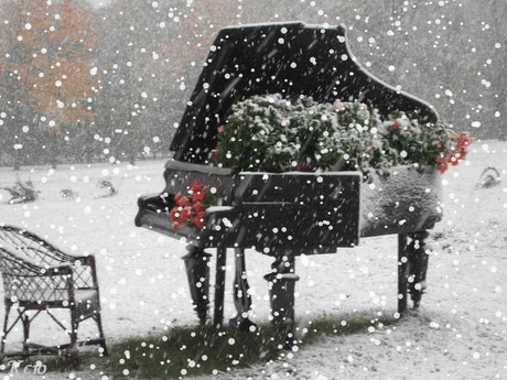 Снег и музыка.
