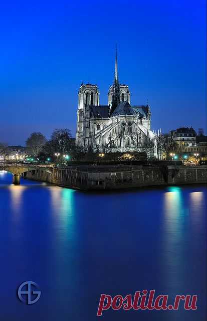 Cathédrale Notre-Dame, Paris | FAVORITE PLACES