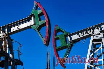 ОПЕК сообщила о снижении добычи нефти в России