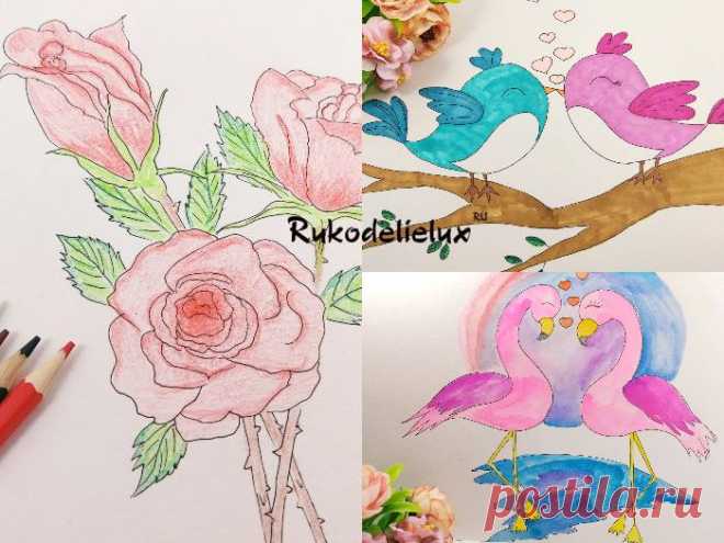 Валентинов день (влюбленных) — рисунки на 14 февраля: розы карандашами, птички фломастерами, фламинго акварелью поэтапно с фото