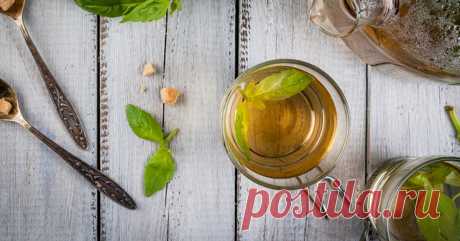 5 весомых причин пить чай с базиликом каждый день!