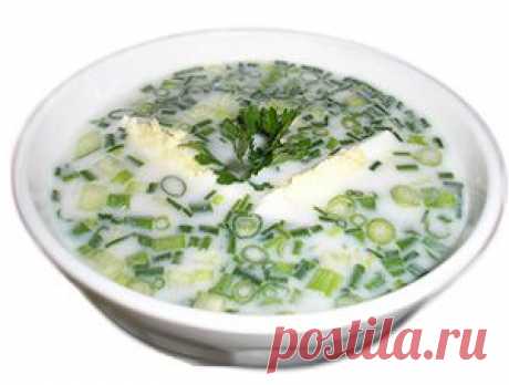 Как приготовить холодные супы: фото-рецепты вкусной окрошки на кефире и холодного свекольника