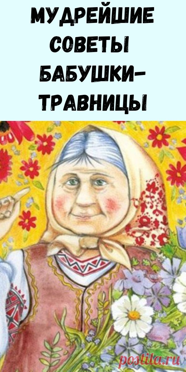 Травница картинки эстетика