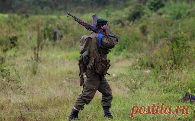 Армия Конго заявила о вторжении в страну войск Руанды. Вооруженные силы Демократической Республики Конго (FARDC) сообщили о нарушении границ страны со стороны армии Руанды.