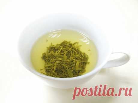Понижает ли давление зеленый чай и можно ли его пить гипертоникам