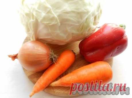 Салат из капусты с перцем, морковью и луком (рецепт с фото) | RUtxt.ru
