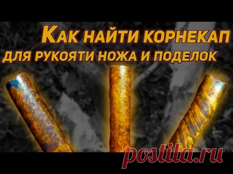 КАК НАЙТИ БЕРЕЗОВЫЙ КОРНЕКАП ДЛЯ РУКОЯТИ НОЖА И КРАСИВЫХ ПОДЕЛОК.