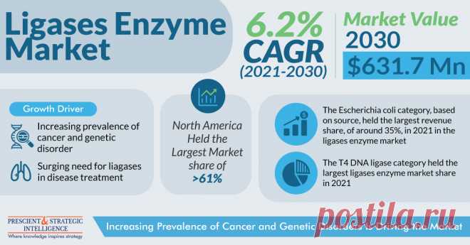 The total size of the ligases enzyme market was about USD 367.4 million in the recent past, and it will power at a rate of 6.2% for reaching USD 631.7 million by 2030, as stated by P&S Intelligence.