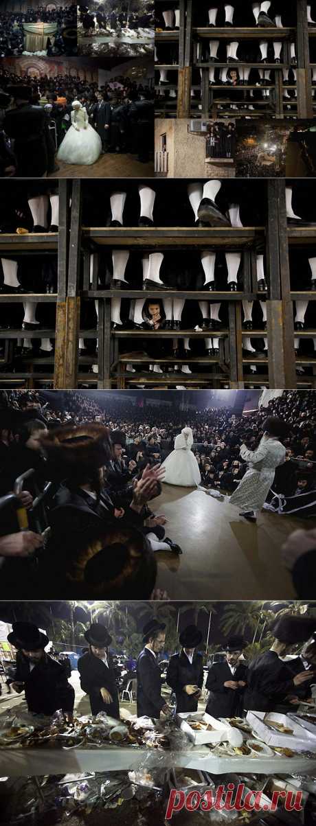 Свадьба еврейских ортодоксов • НОВОСТИ В ФОТОГРАФИЯХ