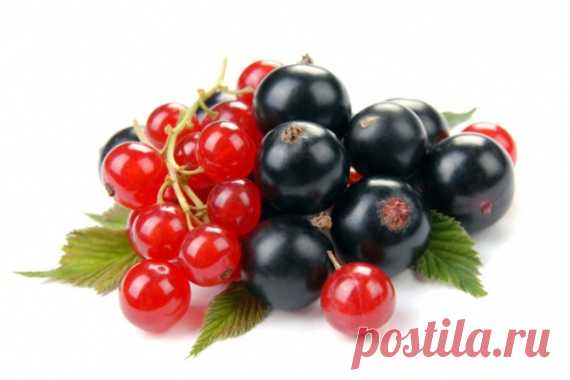 Домашние маски из смородины / Все для женщины