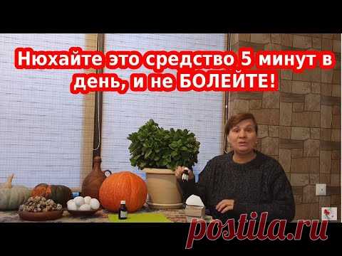 Забытое средство победит любой вирус и простуду - незаслуженно забытое средство