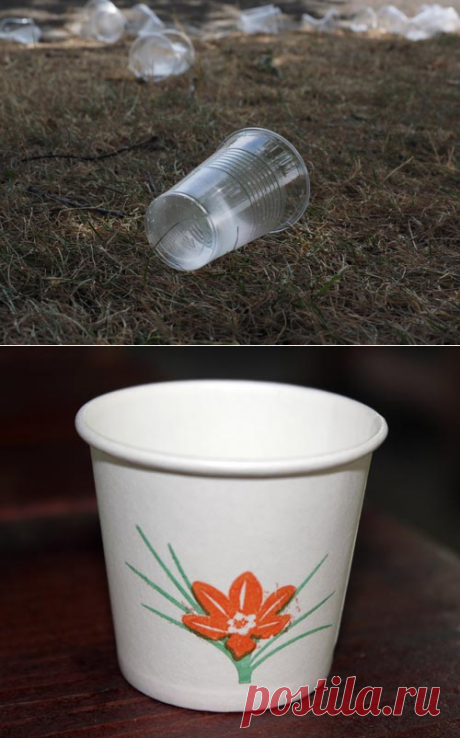 Почему нельзя пить алкоголь из пластикового стаканчика