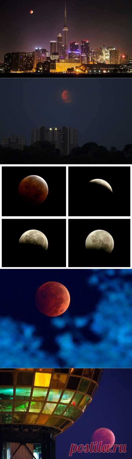 Кровавое лунное затмение - Наука и жизнь
