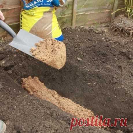 Маскарпоне в домашних условиях - МирТесен