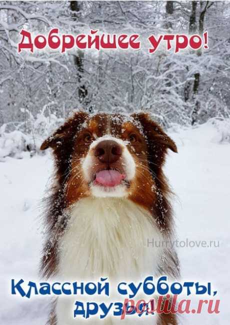 Картинки с добрым зимним субботним утром: красивые и прикольные открытки с пожеланиями