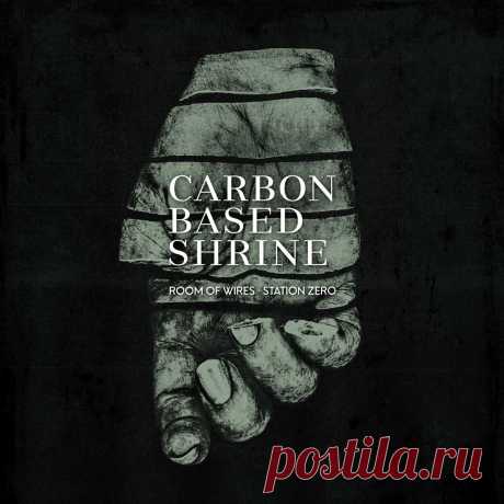 Room Of Wires &amp; Station Zero - Carbon Based Shrine (2024) 320kbps / FLAC