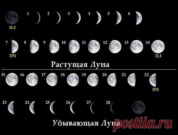 Календарь фаз Луны онлайн