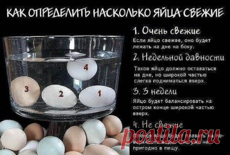 Полезная картинка для определения свежести яиц.