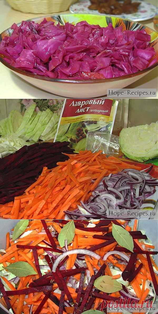 Квашеная капуста со свеклой и морковью (рецепт без соли) ©