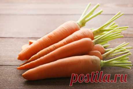 Советы по подкормке моркови в июле, чтобы она была сладкой и крупной | Азбука огородника | Яндекс Дзен