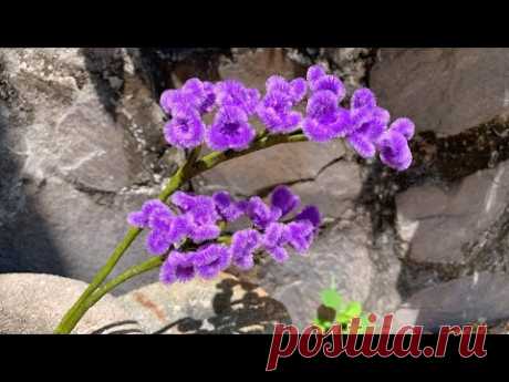 ABC TV | How To Make Statice Flower With Pipe Cleaner - Craft Tutorial