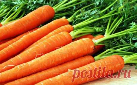 Как сохранить морковь в течение длительного времени?