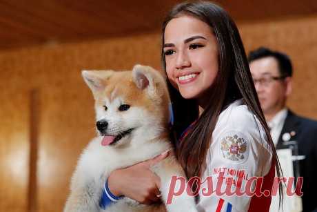 Алине Загитовой подарили собаку породы акита-ину