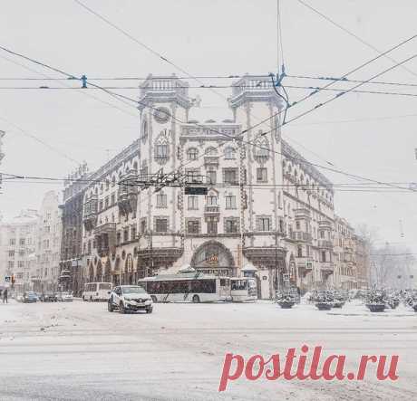 Зимняя Петроградка 

автор фото: mitrofanova_m