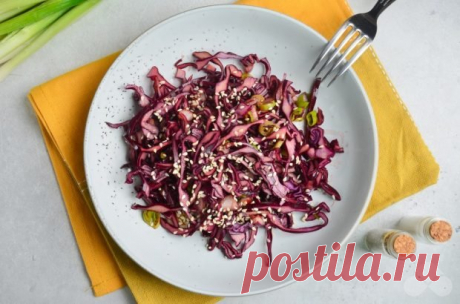 Салат из краснокочанной капусты с луком – простой и вкусный рецепт с фото (пошагово)