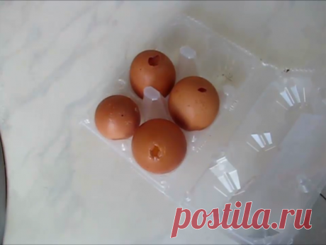 Куры клюют яйца - 100% лечение ! | Хозяйство Воронова | Яндекс Дзен