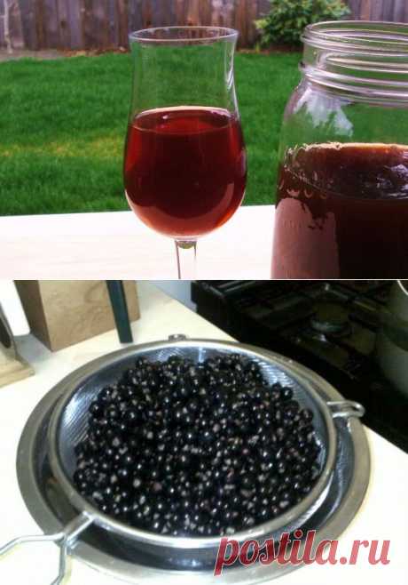 Рецепт Домашнее вино из черной смородины с  в домашних условиях