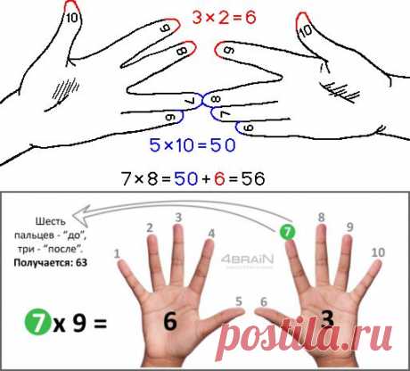 Таблица умножения на 6, 7, 8, 9 и 10 на пальцах