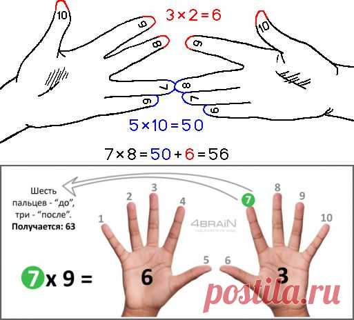 Таблица умножения на 6, 7, 8, 9 и 10 на пальцах