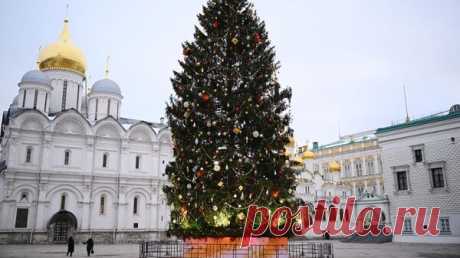 Главную новогоднюю елку страны спилили в подмосковном Фряново