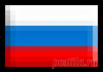 Способ выращивания помидоров — 6 соток