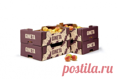 Gineta on Packaging of the World - Creative Package Design Gallery