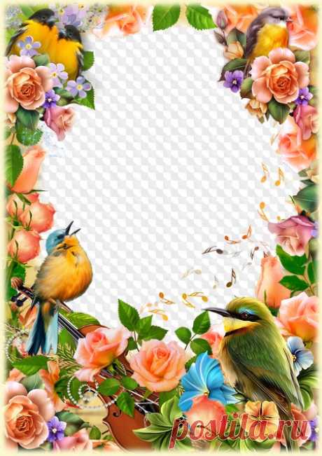 Photo frame Flower music, roses. Transparent PNG Frame, PSD Layered Photo frame template, Download.