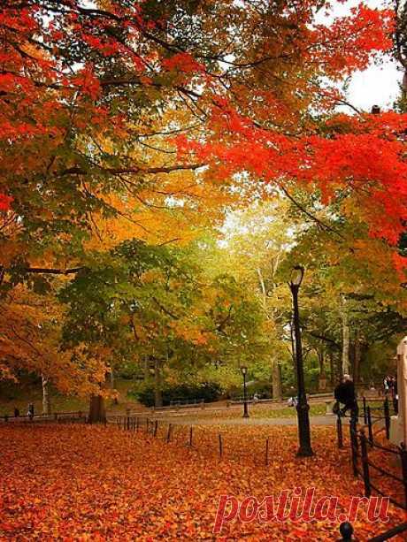 Central Park, New York City 438 от пользователя Vivienne Gucwa на Flickr / Autumn - Central Park, New York City | Awesome Pictures