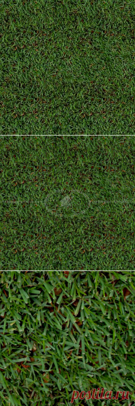 Texture seamless | Green grass texture seamless 13014 | Textures - NATURE ELEMENTS - VEGETATION - Green grass