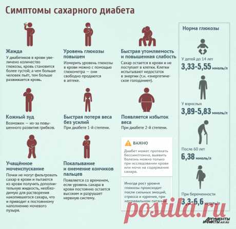 Симптомы сахарного диабета. ИНФОГРАФИКА.