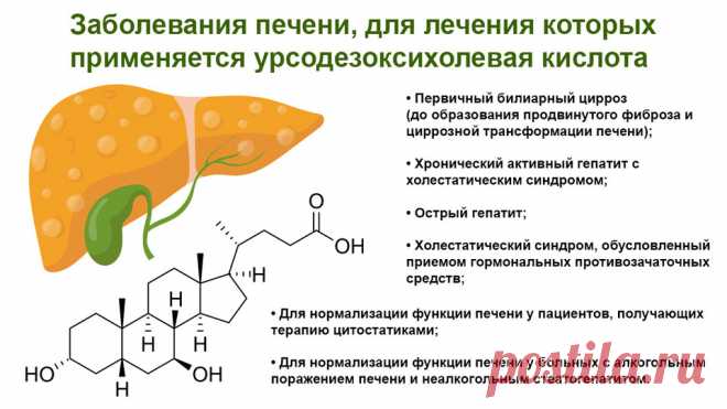 ТОП-15 препаратов для восстановления печени - КГБУЗ Горбольница №12 Печень – крупнейшая железа внешней секреции в организме человека, которая выполняет множество функций. Она также является крупным самоочищающимся органом