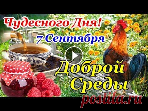 С Добрым Утром, Среда! 7 Сентября! Прекрасного Дня! Красивая Открытка с Чудесной Музыкой! Самая Красивая и Позитивная Открытка Доброе Утро! Обалденная Музыка для Настроения! Пожелание Доброго Утра. Открытка с Добрым Утром друзьям и знакомым...