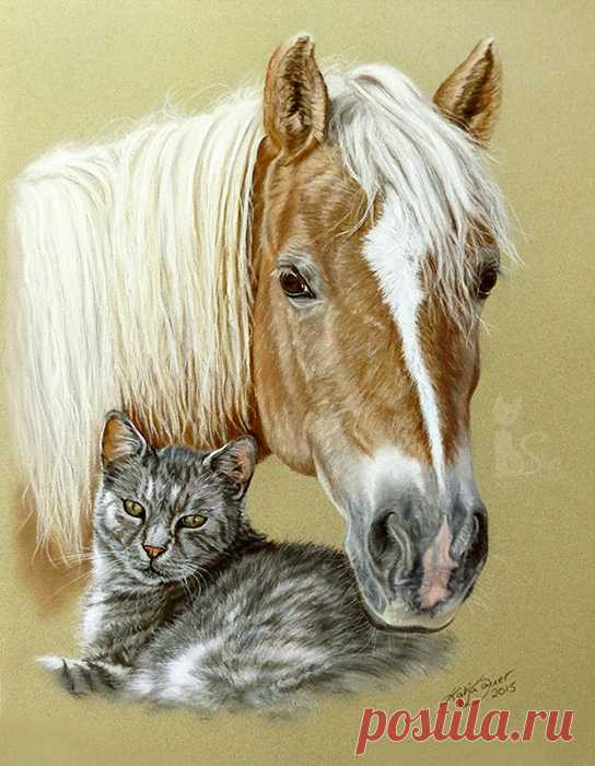 Рисунки и портреты лошадей Кати Зауэр