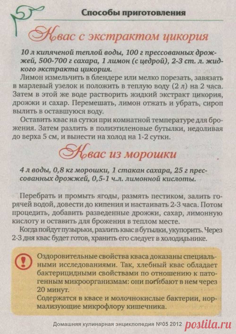 Квас с экстрактом цикория. Квас из морошки