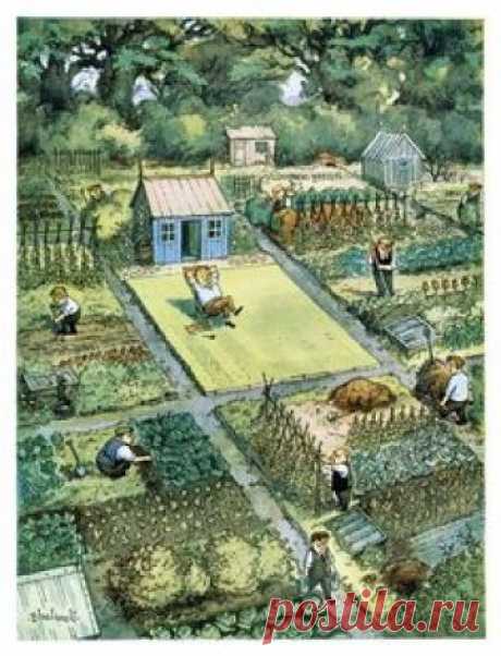 Norman Thelwell cartoon is repeated in every street all over the world I guess. Often it's the hardworking gardener next to the "grass up to the window sills" type. Each to their own but I would rather have the vegetable harvest thanks.