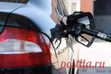 На Украине спрогнозировали рост цен на бензин из-за борьбы с уклонистами